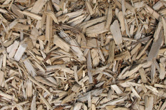 biomass boilers Carncastle